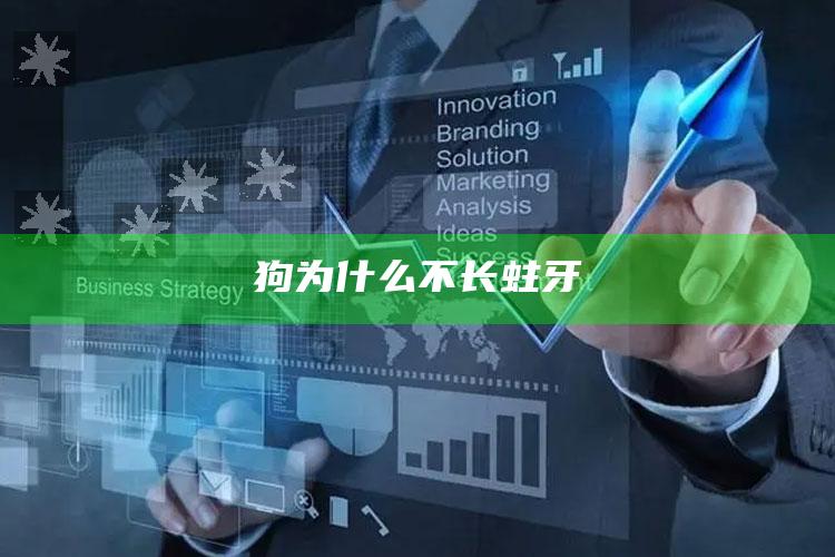 狗为什么不长蛀牙