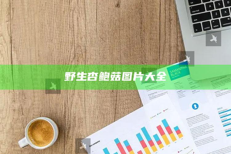 野生杏鲍菇图片大全