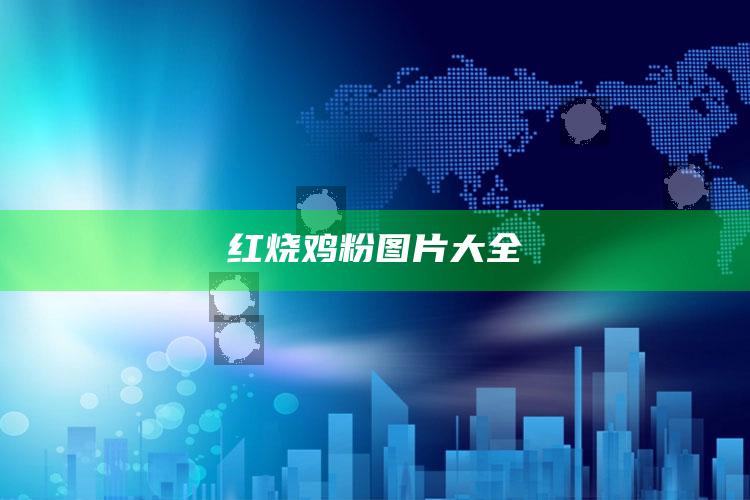 红烧鸡粉图片大全