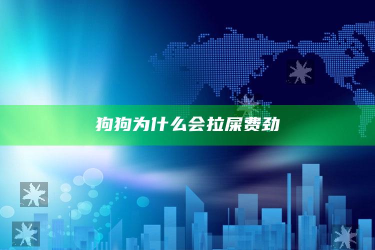 狗狗为什么会拉屎费劲