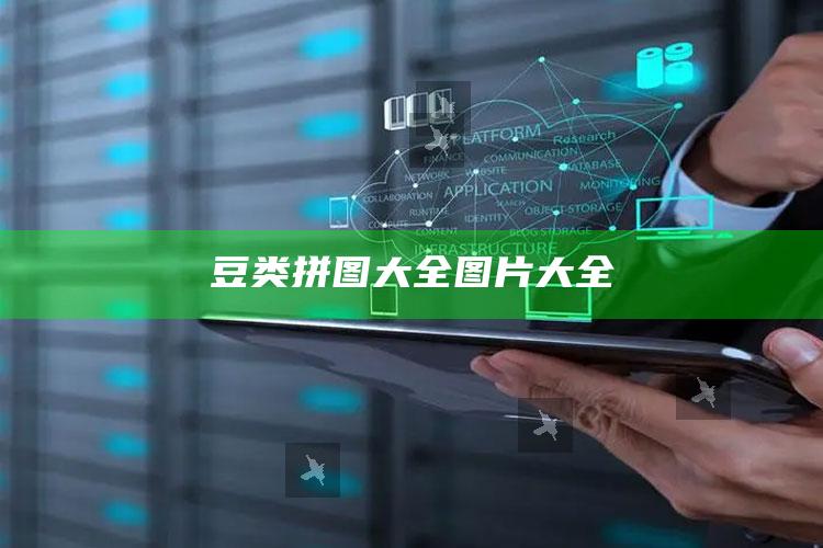 豆类拼图大全图片大全