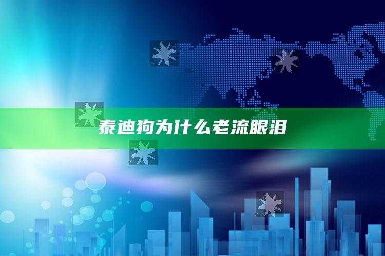 泰迪狗为什么老流眼泪