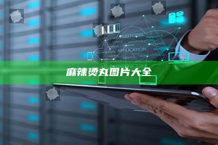 麻辣烫丸图片大全