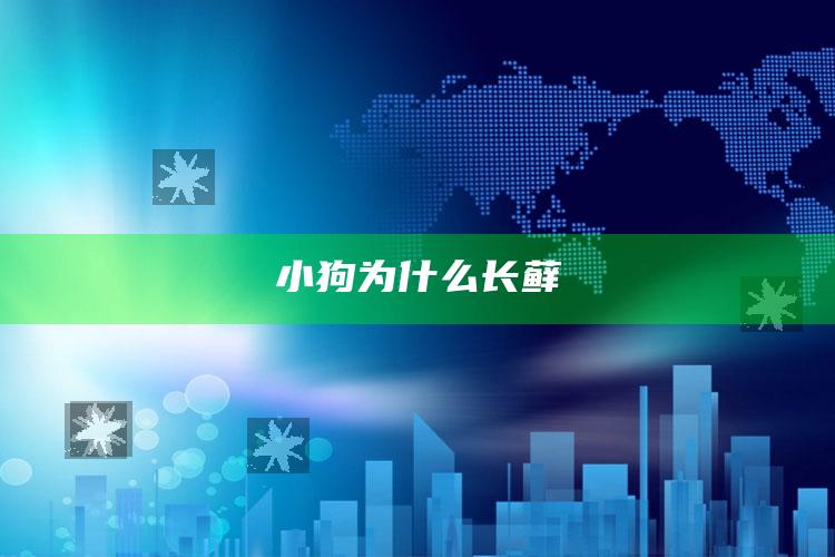 小狗为什么长藓