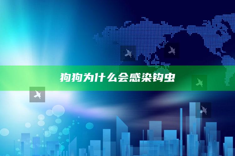 狗狗为什么会感染钩虫
