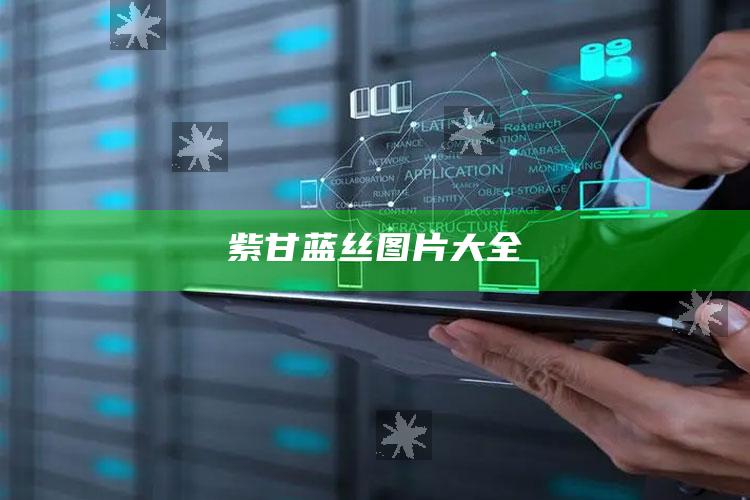 紫甘蓝丝图片大全