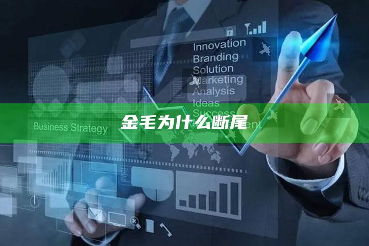 金毛为什么断尾