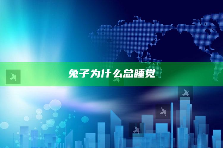 兔子为什么总睡觉