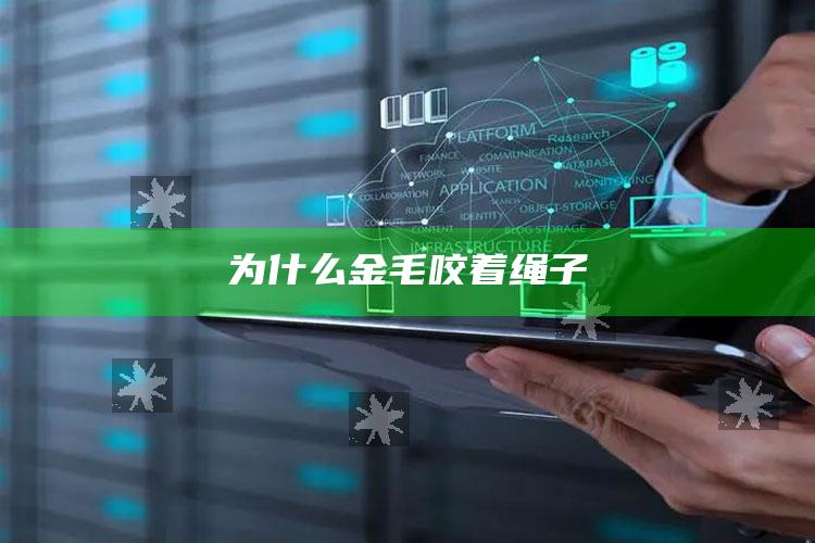 为什么金毛咬着绳子