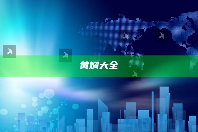 黄焖大全