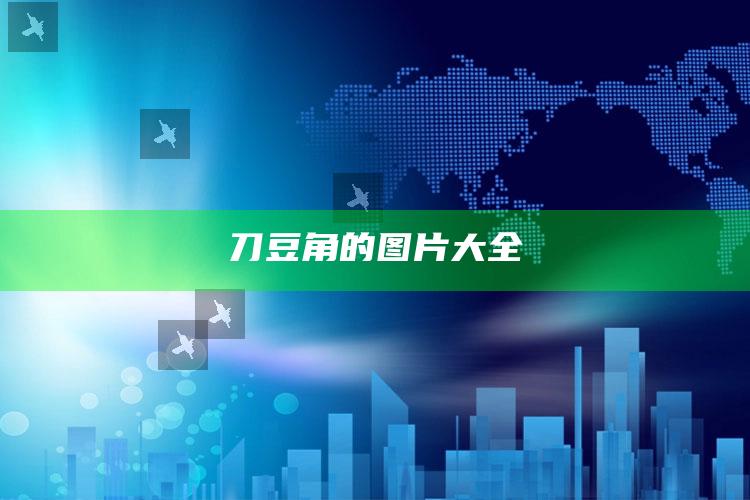 刀豆角的图片大全