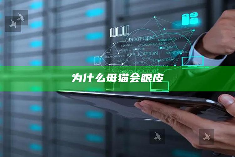 为什么母猫会眼皮