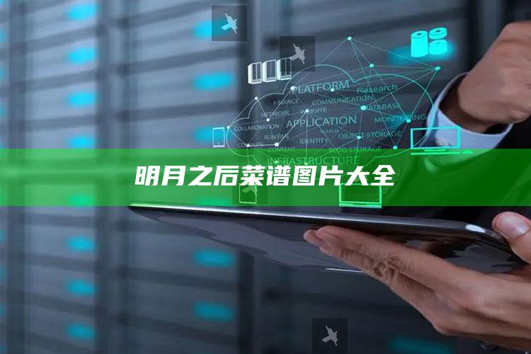 明月之后菜谱图片大全