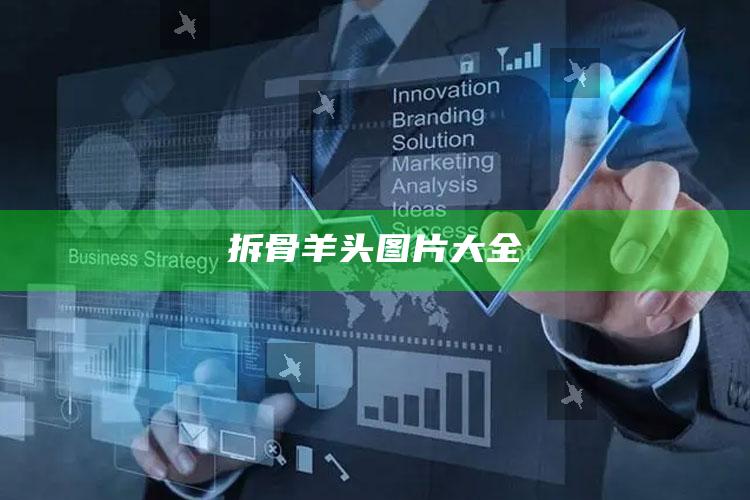 拆骨羊头图片大全