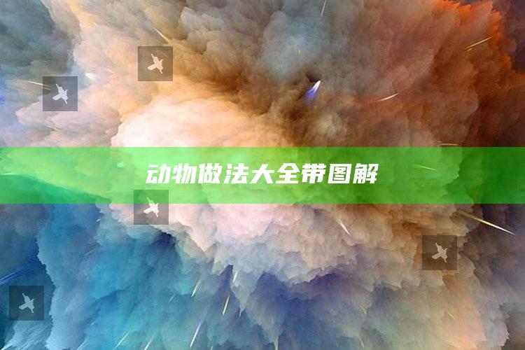 动物做法大全带图解
