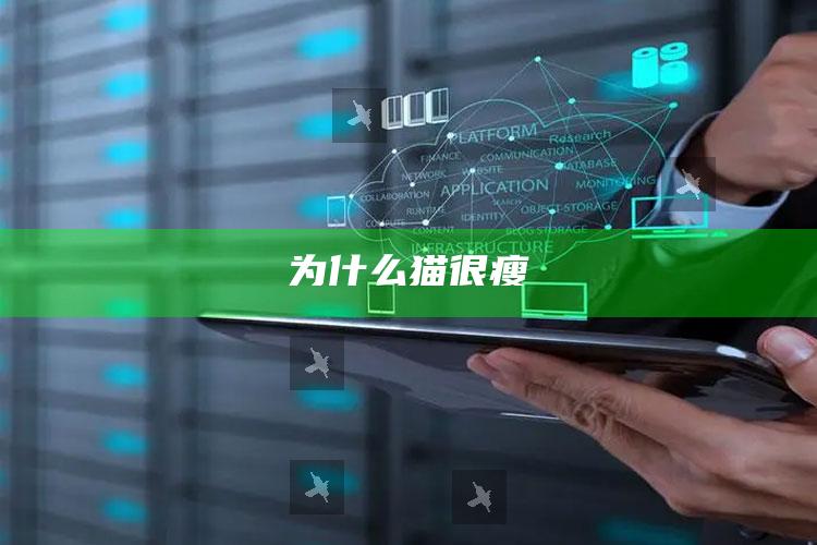 为什么猫很瘦