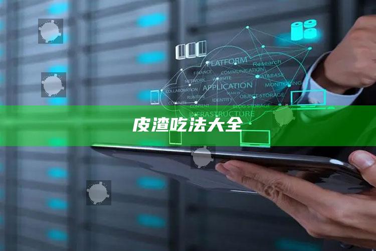皮渣吃法大全